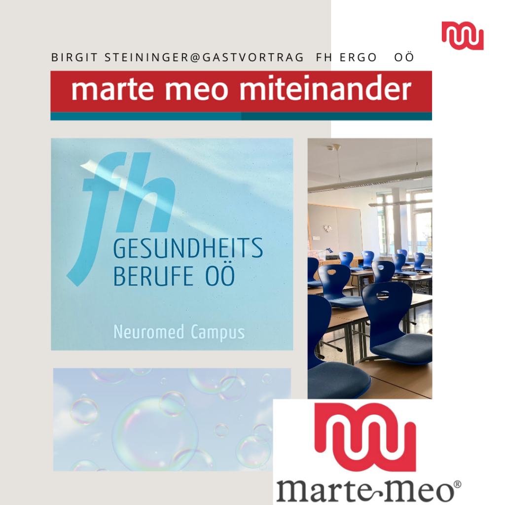 FH für Gesundheitsberufe, Ergotherapie OÖ