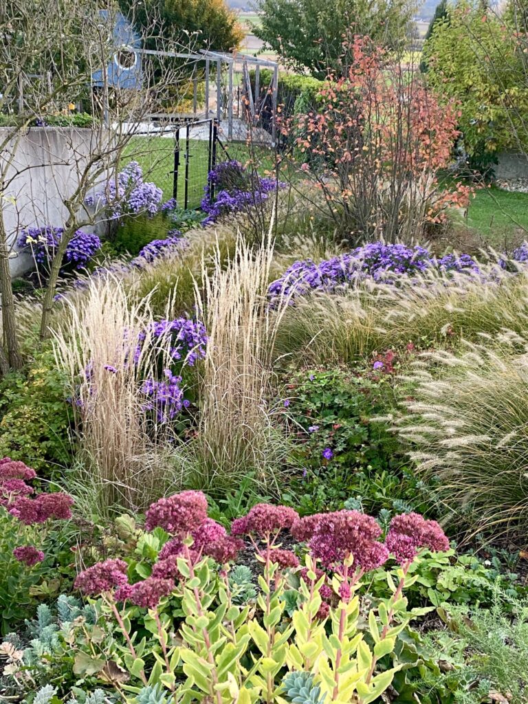 Therapiegarten Therapiegarten